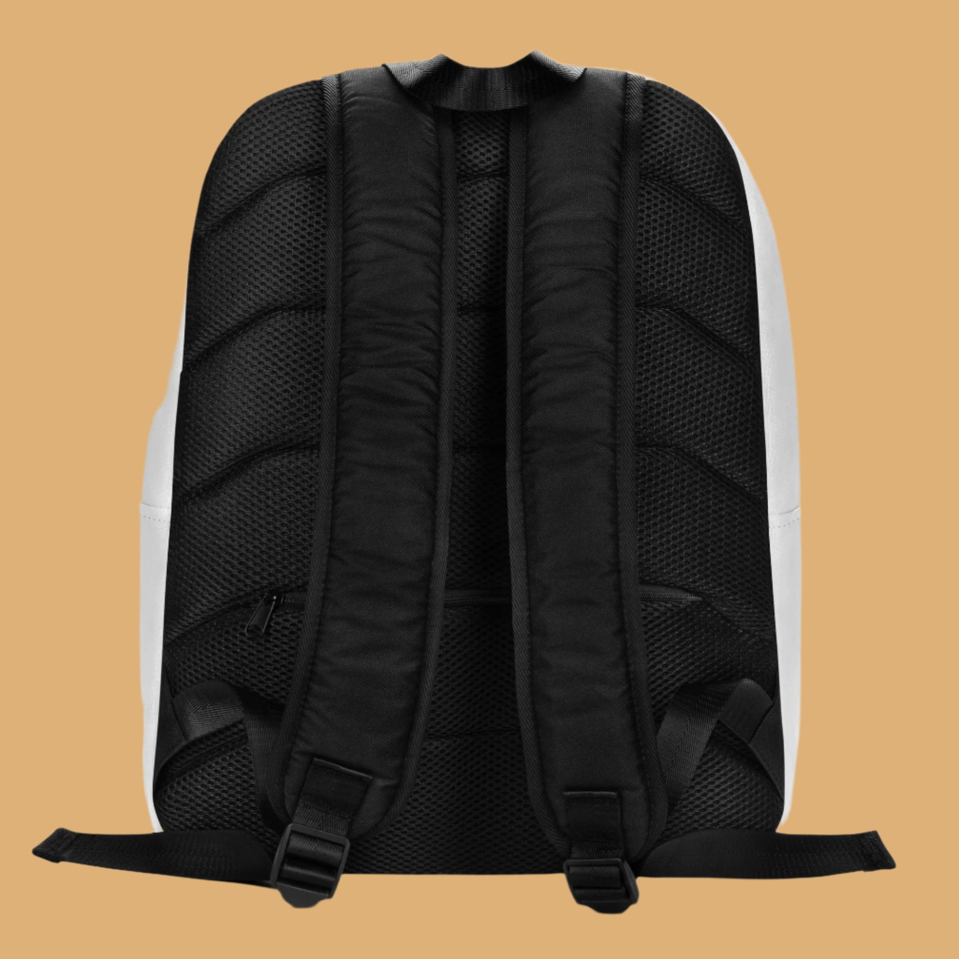 Back view of a black backpack with straps on a white background